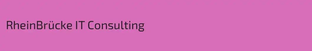 RheinBrücke IT Consulting